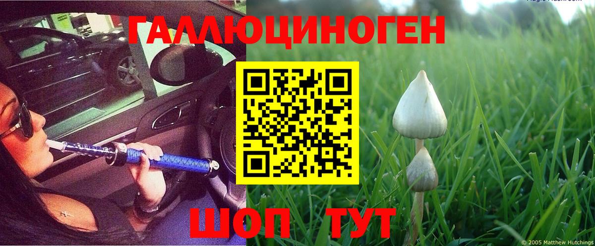 Ноябрьск  Псилоцибиновые грибы Magic Shrooms  Вход с VPN 