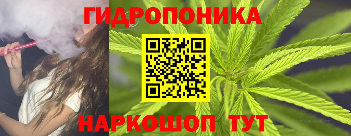Канабис Amnesia Ноябрьск